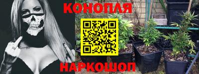 стафф Ставрополь