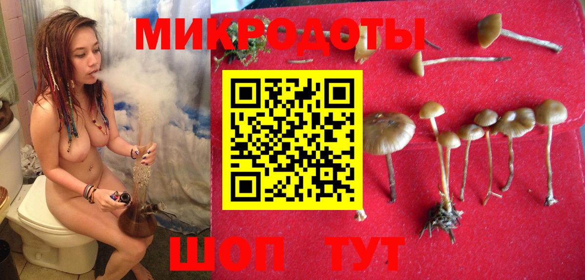 Галлюциногенные грибы Cubensis Нефтеюганск